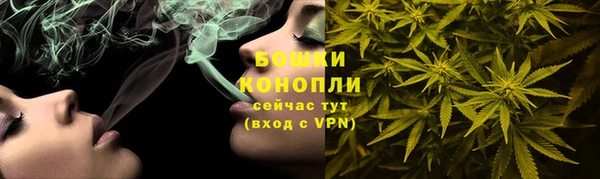 индика Нефтекумск