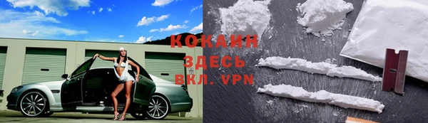 индика Нефтекумск