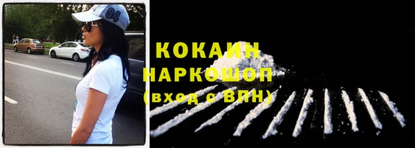 индика Нефтекумск