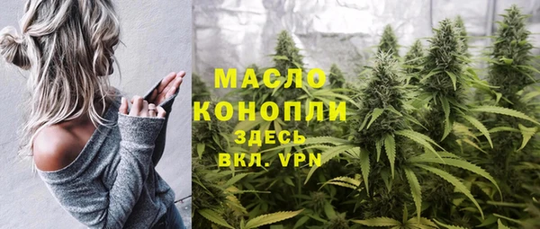 индика Нефтекумск