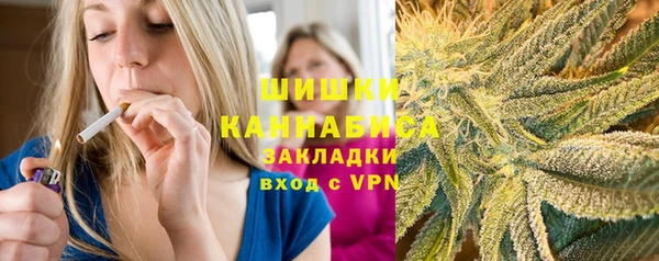 индика Нефтекумск