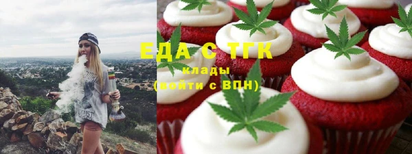 индика Нефтекумск