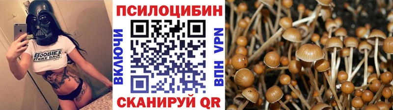 Купить где  Алексин  Псилоцибиновые грибы мухоморы 
